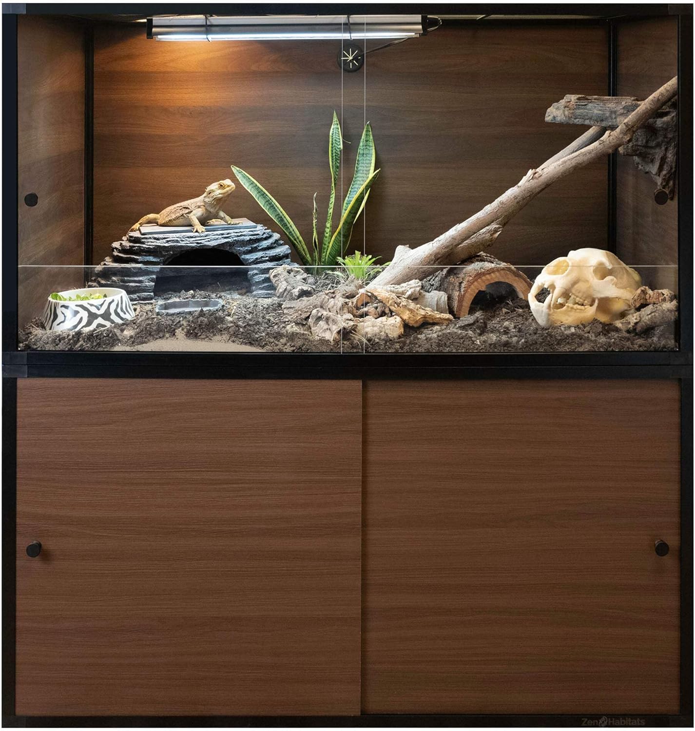 Bearded Dragon Enclosures: How to Build the Perfect Habitat